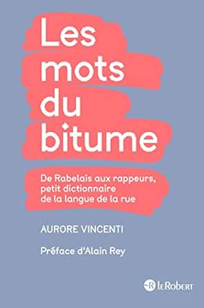 Les Mots Du Bitume Petit Dictionnaire De La Langue De La Rue Les Mots De La Rue Ebook Vincenti Aurore Amazon Fr