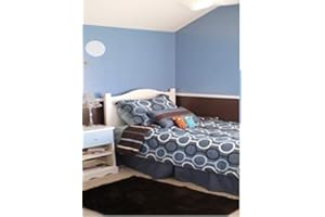 BLATEM INDIANA ANTIMOHO PROFESIONAL PLASTICA VINILICA MATE (4 LTS) (Azul suave)