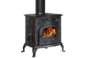 GLOBE FIRE Kaminofen Globe-fire Eros I raumluftunabhängig Guss schwarz 6kW