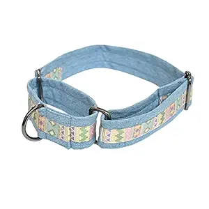 Mutt of Course Aztec Print Martingale Collar for Dogs (Medium)