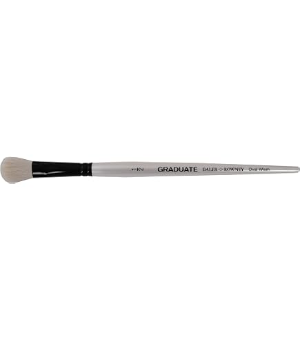 Daler Rowney Aquafine set da 12 mezzi godet di acquerello + pennello