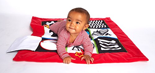 Manhattan Toy 210470 Wimmer-Ferguson – Matte zum Krabbeln und Entdecken - 2