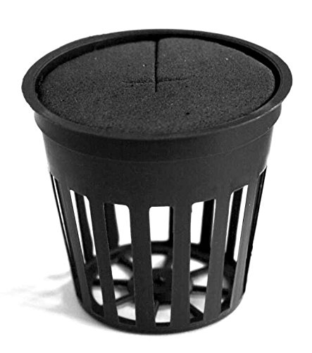 Neoprenring mit Schlitz für Netztopf 2″ (5cm) - 2