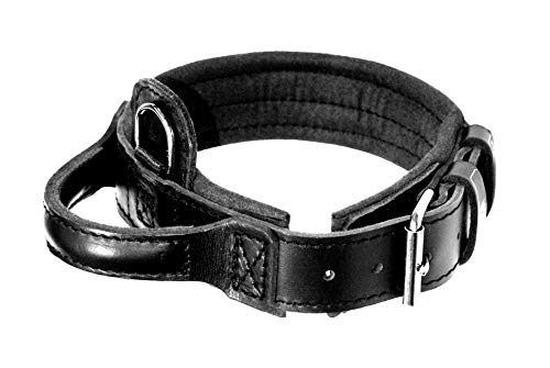 DINGO GEAR S04021 - Collare in Pelle Nera con Manico, L