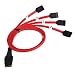 Produktbild WEONE 100cm 1M SFF-8087 SAS 4i SFF-8087 36P zu 4 SATA 7P-Festplatte Kupfer-Splitter-Kabel Rot