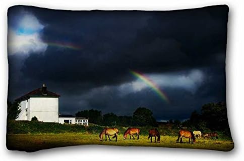 Custom ( Animals Horses rainbow skyR ) Zippered Body Pillow Case Cover Size 20"X30" suitable for Twin-bed PC-Bluish-32819