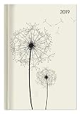 Buchkalender Blowballs 2019 - Bürokalender A5 / Cheftimer A5 - 1 Tag 1 Seite - 352 Seiten by