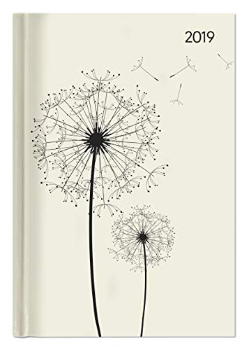 Buchkalender Blowballs 2019 - Bürokalender A5 / Cheftimer A5 - 1 Tag 1 Seite - 352 Seiten