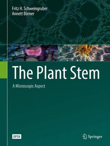 Preisvergleich Produktbild The Plant Stem: A Microscopic Aspect