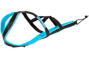 Inlandsis Harnais X-Back canicross Polar Quest