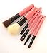 LyDia professional 6 pieces pink handle studio collection mini makeup brush set with zip case