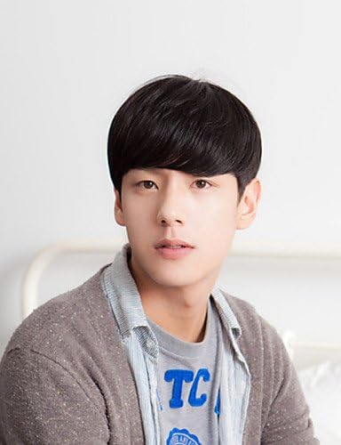 Ahom Wig noble Japan And South Korea Fashion Man Short Hair Straight Bangs Handsome Short Hair Wigs,dark auburn