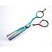 Titanium Hair Scissors AND Hair Thinning Scissors Set, 5.5 inch + Presentation Case/Box