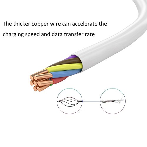 IPhone 6 Cable, AEDILYSÂ® [10-Pack] 3FT 8 Pin Lightning to USB Charging Cable Connector with Authentication Chip Ensures Fast Charging for iPhone 6 6S /6 6S Plus, iPhone 5s/5/5c, iPod mini (White)