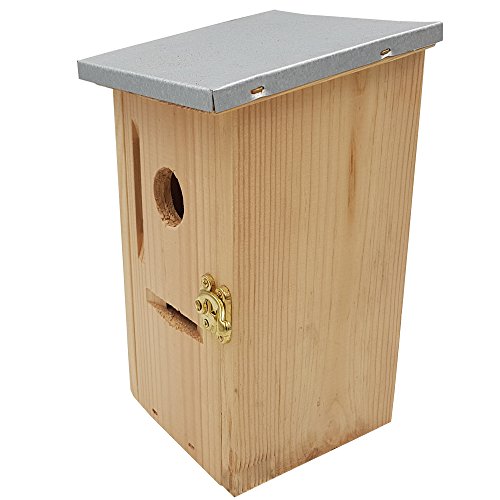 Nistkasten 30 x 14 x 12 (H x T x B) aus naturbelassenem Kiefernholz für kleine Vögel, mit seitlicher Öffnung, Plexiglas und verzinktem Metalldach - 5