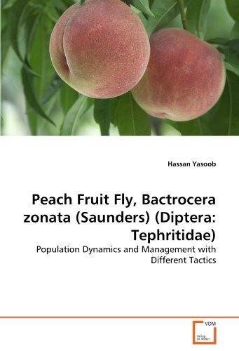 Peach Fruit Fly, Bactrocera zonata (Saunders) (Diptera: Tephritidae)