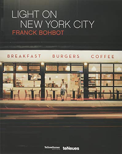 Télécharger Light on New York City Francais PDF