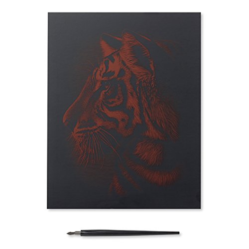 Reeves PPCF58 Kratzbild – Gold Gravurfolie,Größe 20 x 25cm – Motiv: Tiger Portrait, inkl. Kratzmesser & Übungsstück - 4
