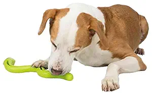 TRIXIE Snack Thermoplastic Rubber Snake Pet Toy -42 cm