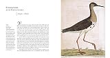 Image de Birds: The Art of Ornithology