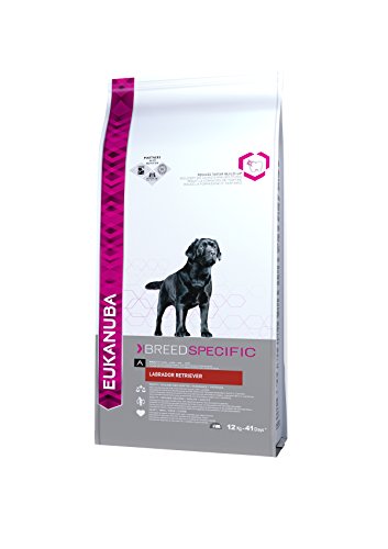 Eukanuba-Dry-Dog-Food-Breed-Nutrition-Labrador-Retriever-Chicken-12-kg