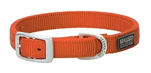 Terrain D.O.G. Nylon Double-Ply Dog Collar, Orange, 3/4