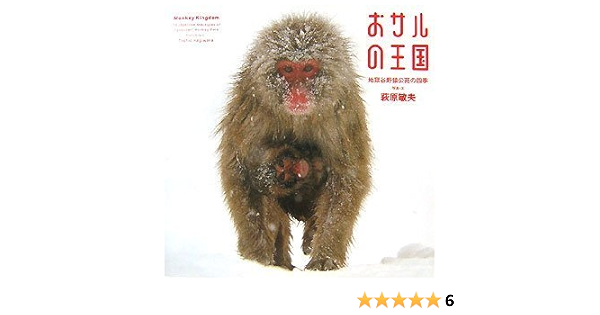 Amazon Fr おサルの王国 地獄谷野猿公苑の四季 Livres Amazon Fr おサルの王国 地獄谷野猿公苑の四季 Livres