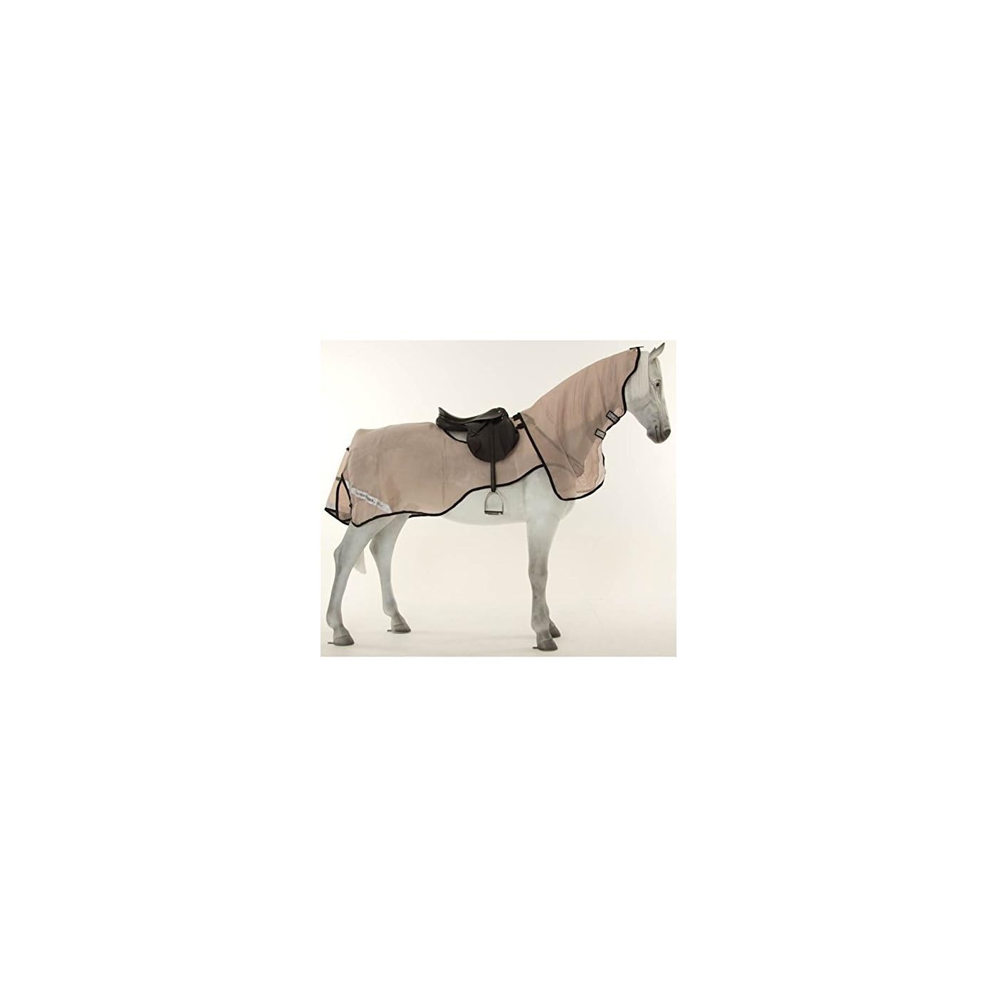 Horse ‘n’ Pony