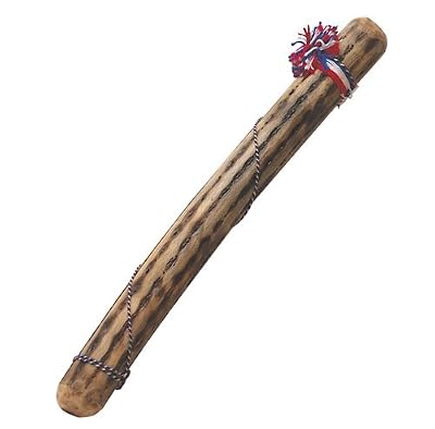 Fuzeau 3658 Bâton de pluie Cactus 50 cm