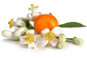 MUMDADANDBABY Orange Blossom Fragrance Oil - 10ml Bottle - Concentrated for Candles, Soaps, Oil Burners, Wax Melts and Fragrance Sprays