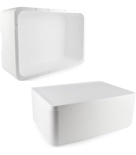 Cassa Termica In Polistirolo Per Alimenti - Capacit&agrave; 3kg/3L, Ideale Per Spedizioni