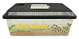 Lucky Reptile PTF-1 Kunststoffterrarium flach, klein