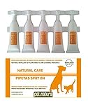 como colocar pipeta frontline gatos 100% natural, no contiene insecticidas