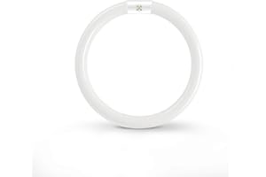 LIUYIFE 22W Tube Fluorescent Rond T9 G10Q à économie D'énergie, 20,5cm, Tube Néon Blanc Froid 6500K, éclairage Annulaire à Faible Consommation D'énergie, Adapté à La Cuisine, Au Couloir, Aux Escaliers, 1 Pack