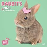 Rabbits - Kaninchen 2020: Original Myrna-Kalender [Mehrsprachig] [Kalender] (Wall-Kalender) by 