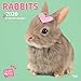 Rabbits - Kaninchen 2020: Original Myrna-Kalender [Mehrsprachig] [Kalender] (Wall-Kalender) by 