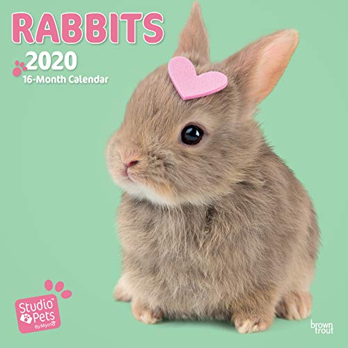 Télécharger Rabbits 2020 Square Wall Calendar Livre eBook France