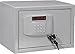 Produktbild Format Hotel-/Möbeleinsatztresor PANTHER LPT 1/055004-00000 hellgrau