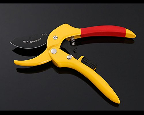 SCISSORS Pruning Shears Shears Bypass Garden Fruit Branch Cut Floral Shears Best For Trees, Plants, Hedges