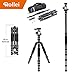 Produktbild Rollei Traveler Alu Stativ I Titan I Kamera-Stativ I Reisestativ mit Kugelkopf inkl Monopod Arca-Swiss Schnellwechselplatte Stativtasche 148.5 cm