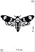 Produktbild Patch-Iron-Acherontia - Death's-head hawkmoth - Totenkopf Motte - - Oldschool - - Iron On Patches - Aufnäher Embleme Bügelbild Aufbügler