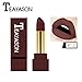 Produktbild 12 Farben Neue Mode nude Lippenstift matt, Huihong TEAYASON Wasserdicht Pigment Braun nude Lippenstift Lang Anhaltende Make up Lipgloss (#12)