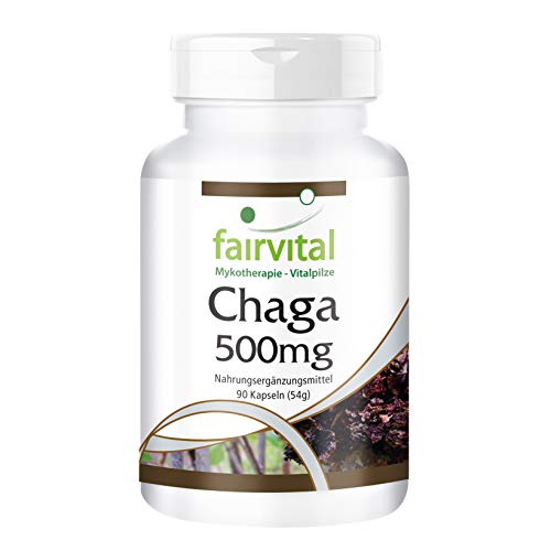 Chaga 500mg - VEGANO - Altamente dosificado - 90 cápsulas - Inonotus oblicuo - polvo de hongo - ¡Calidad Alemana garantizada!