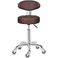 Kaleurrier Rolling Stool Chair with Smooth-rolling Dual-wheel casters,Comfortable Cushioned Backrest, Swivel Seat, Heavy Duty Hydraulic Height Adjustable,Sturdy and Durable