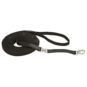 KERBL 321496 – Correa para dar cuerda con anilla giratoria y trabones de cuero, 8 m de longitud, color negro