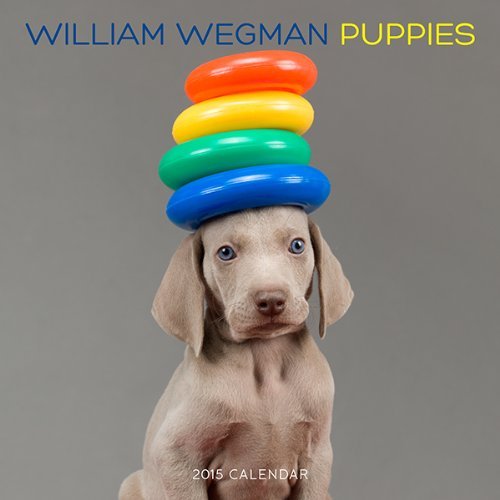 Télécharger William Wegman Puppies 2015 Wall Calendar by William Wegman(2014-08-12) PDF