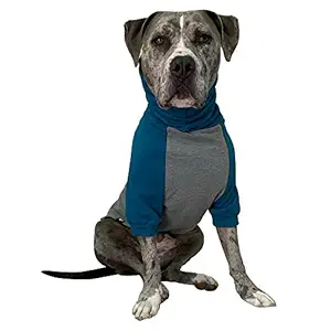 Tooth & Honey Large Dog Sweater/Pitbull/Large/Medium/X Large Dog Sweater Dog Sweatshirt/Teal & Grey (Medium)