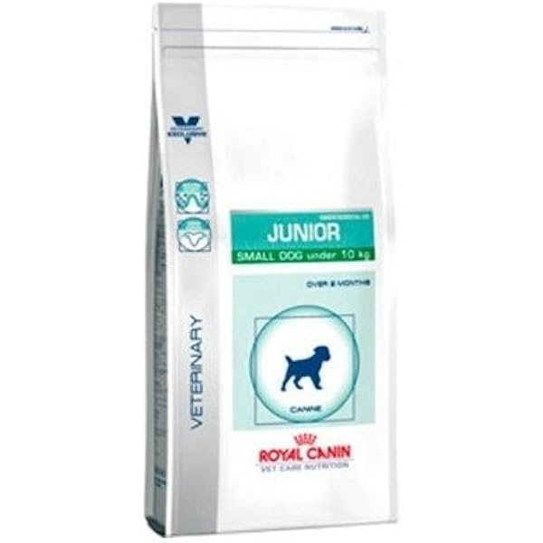 neutered junior large dog