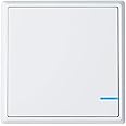NineLeaf Wireless Wall Switch Panel - Smart Switch, No Wiring Ideal for LED Bulb Lights