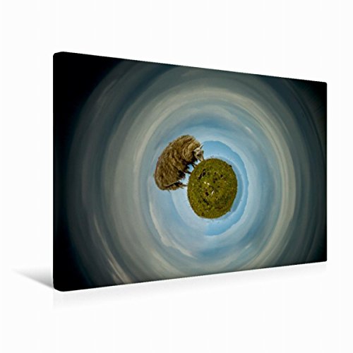 Premium Textil-Leinwand 45 cm x 30 cm quer Zeichne mir ein Schaf | Wandbild, Bild auf Keilrahmen, Fertigbild auf echter Leinwand, Leinwanddruck (CALVENDO Kunst)